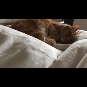 Meet your Posher, James